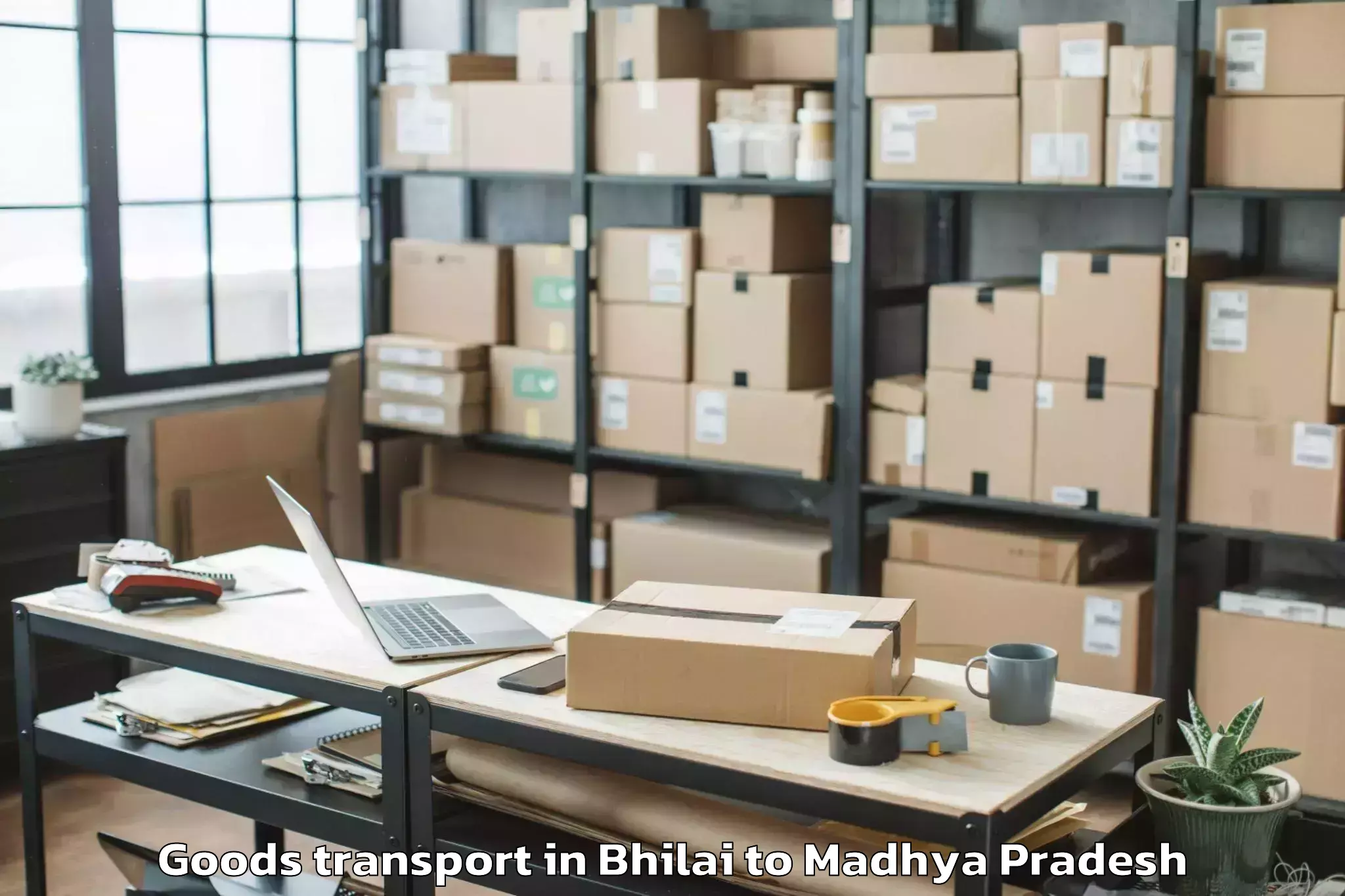 Top Bhilai to Barnagar Goods Transport Available